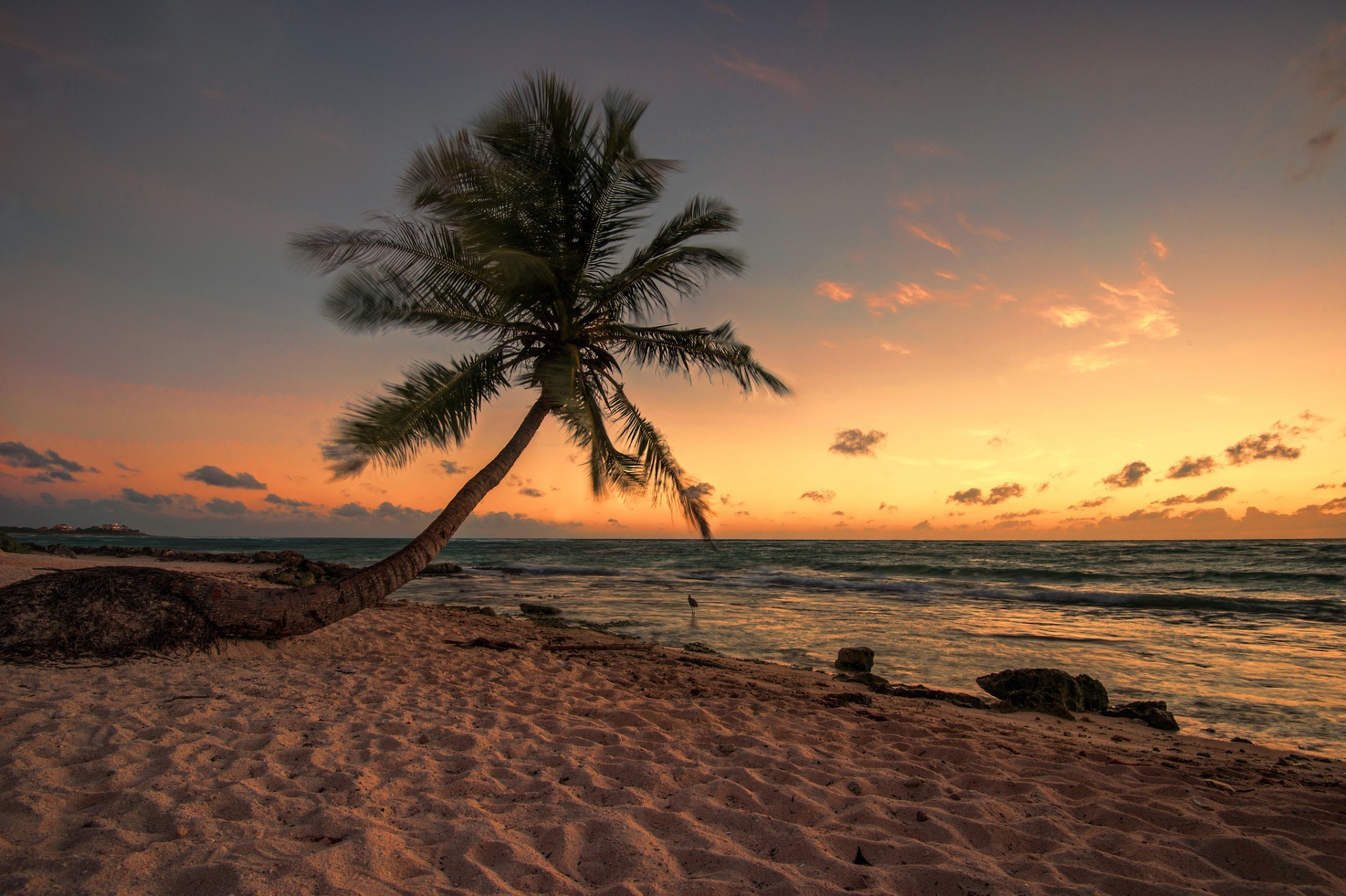 île plage sable coucher de soleil océan soleil eau mer mer paysage aube tropical été voyage île ciel beau temps soir paysage vacances