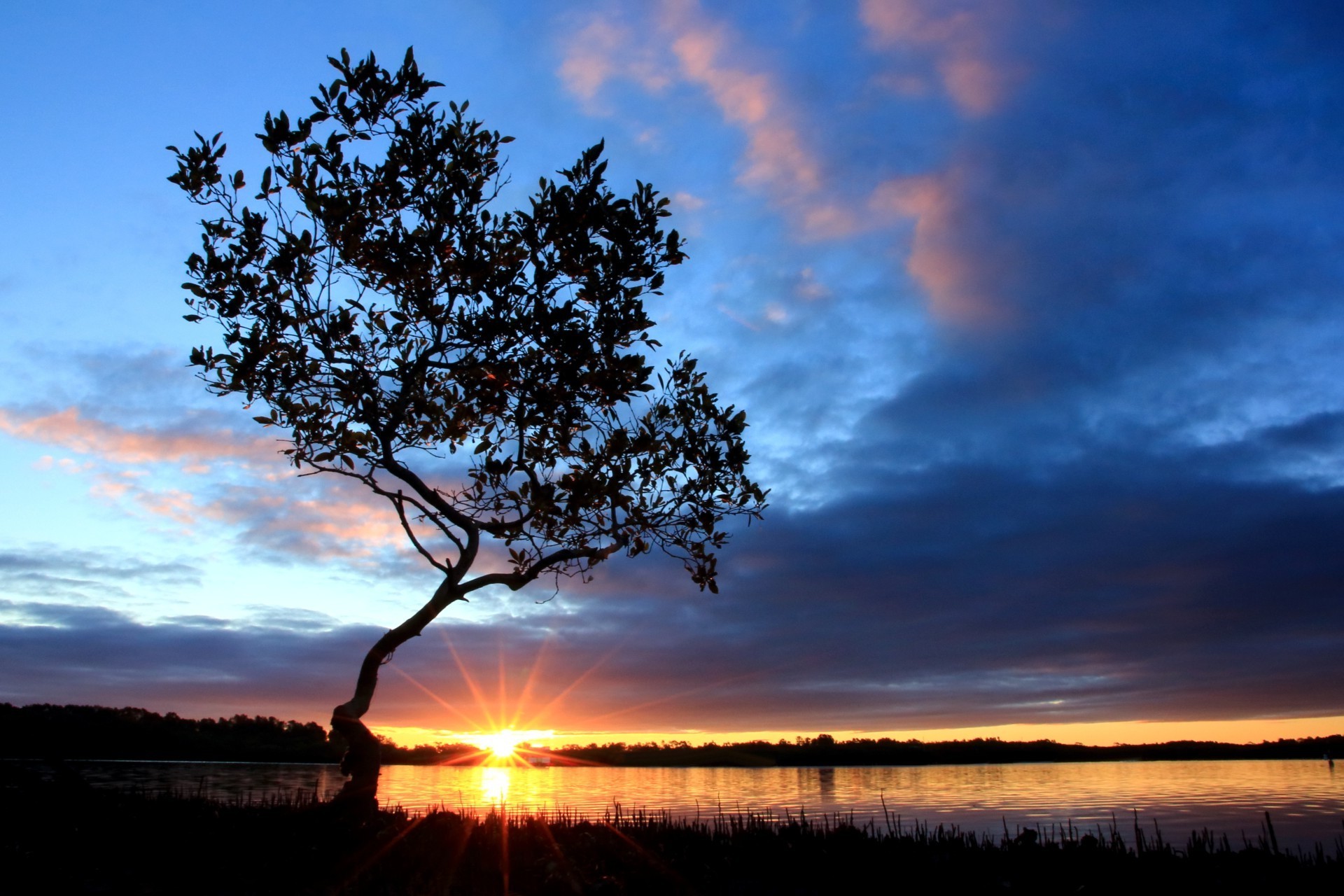 coucher de soleil et aube coucher de soleil aube paysage soleil arbre nature ciel soir crépuscule beau temps silhouette en plein air automne été