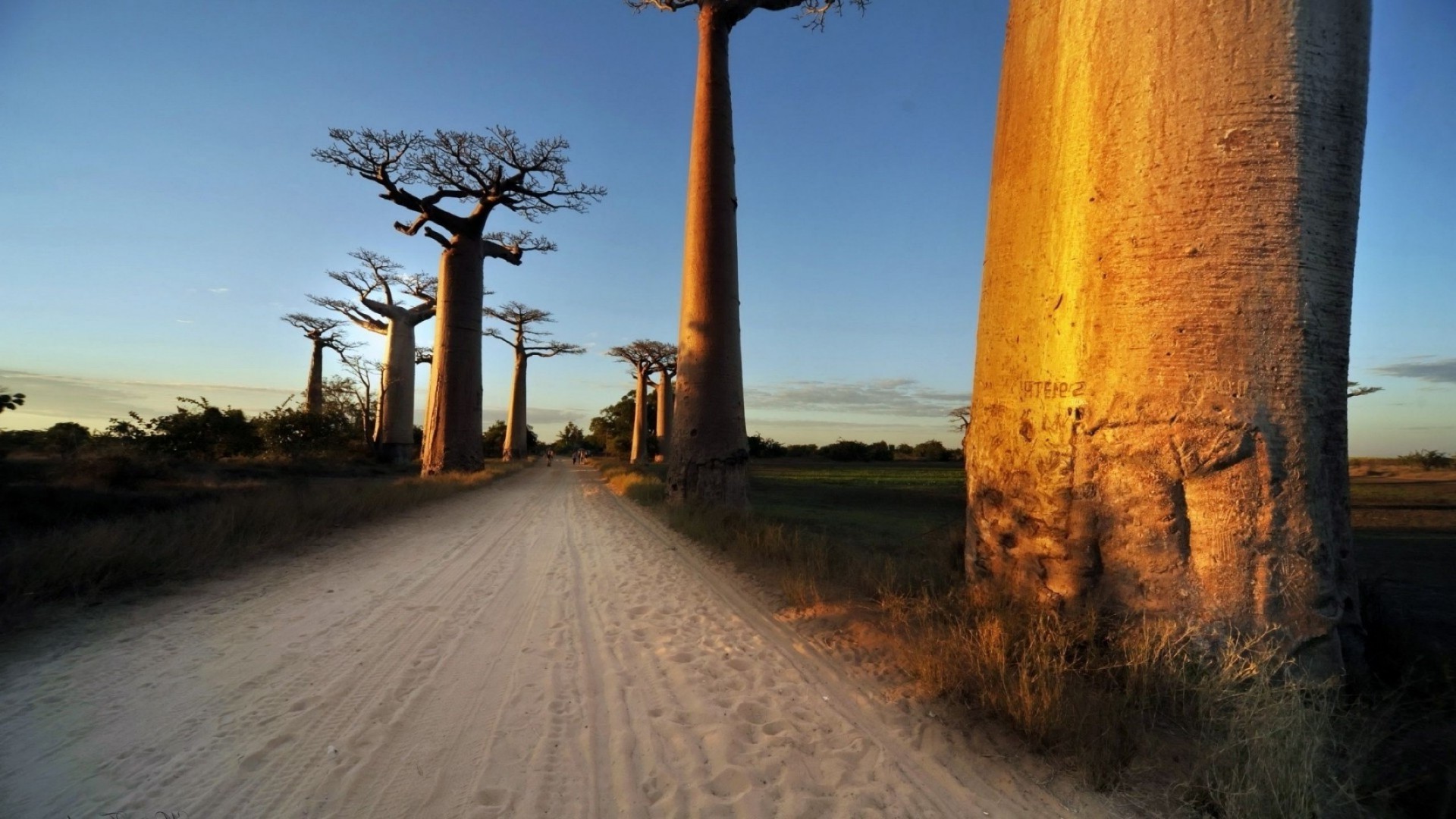 árboles al aire libre viajes cielo naturaleza árbol amanecer paisaje puesta del sol