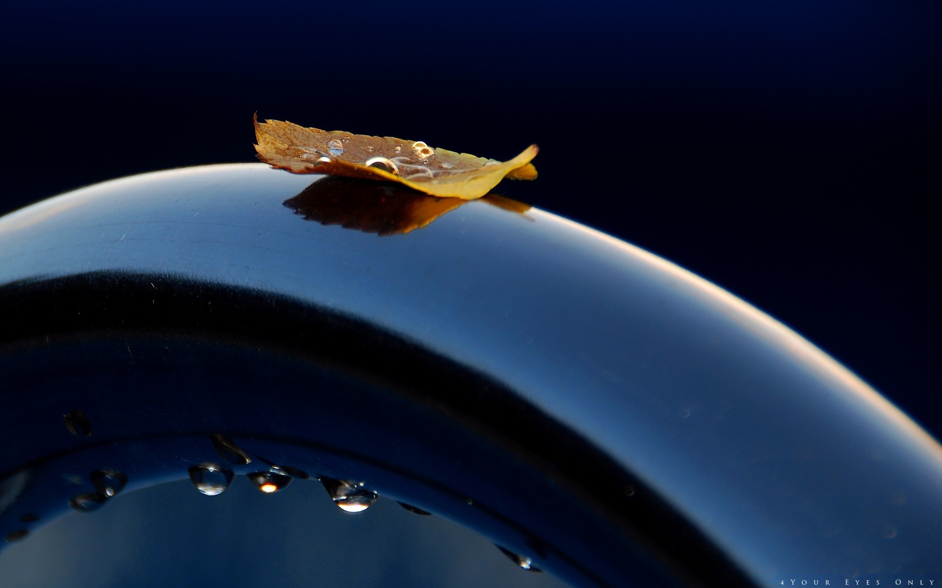 macro un sous-marin voiture eau flou chute voyage sphérique invertébrés science