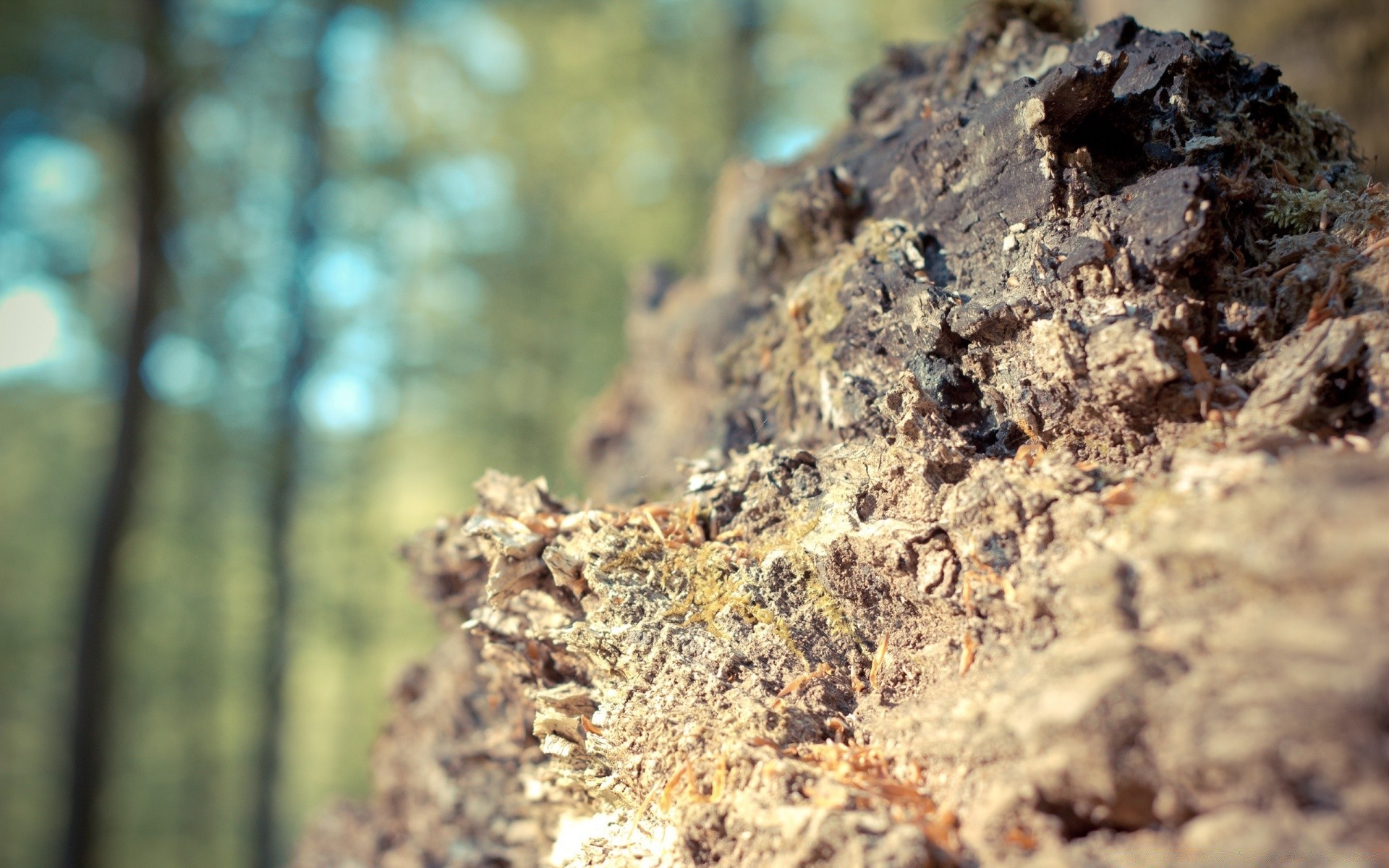 macro nature rock texture stone close-up desktop outdoors environment geology