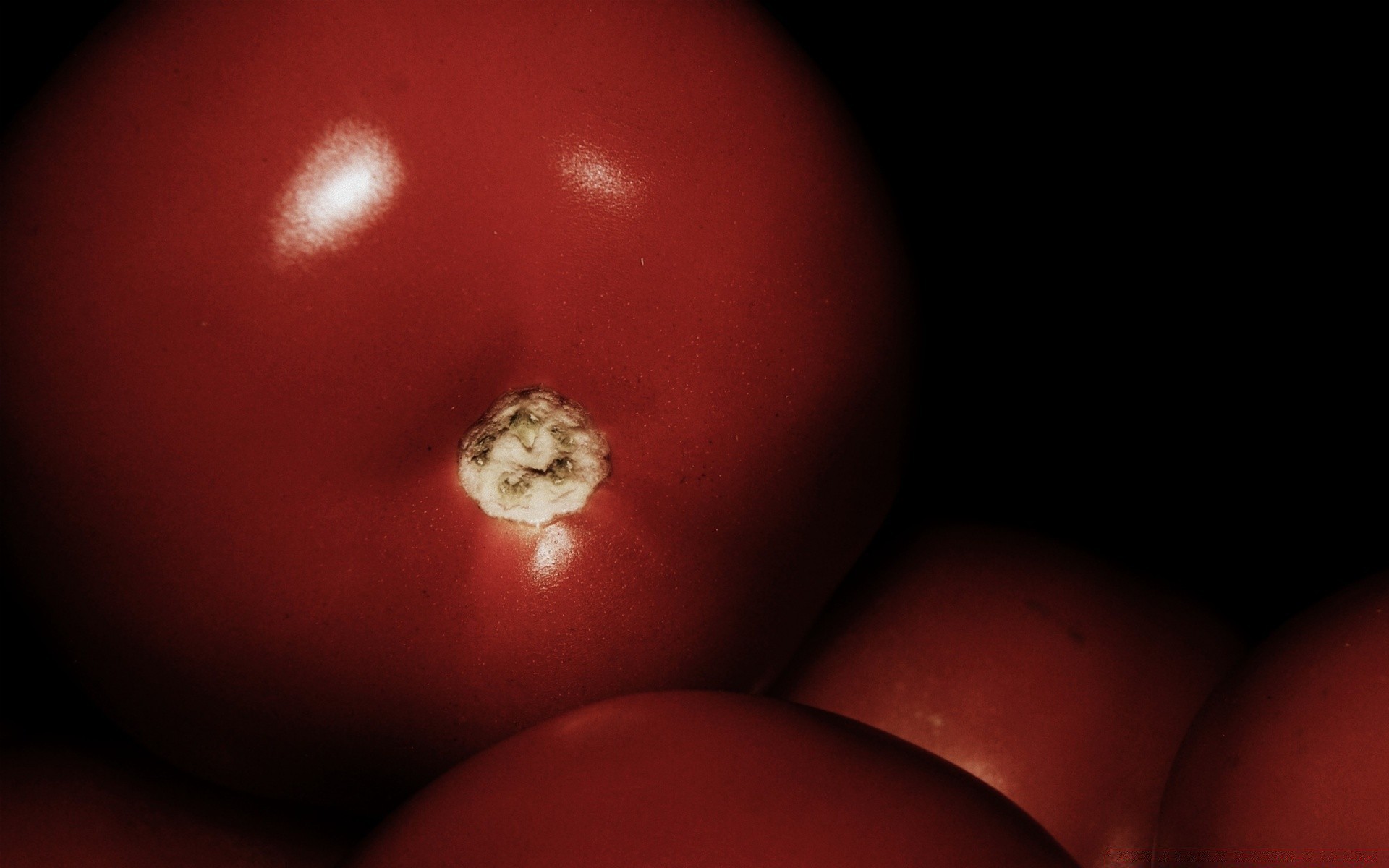 macro cibo crescere frutta singolo verdura still life