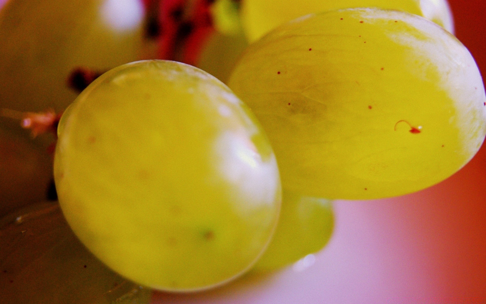 macro frutta cibo autunno succosa foglia mela crescere salute colore cibo natura morta natura dolce delizioso succo di frutta agricoltura estate pasticceria