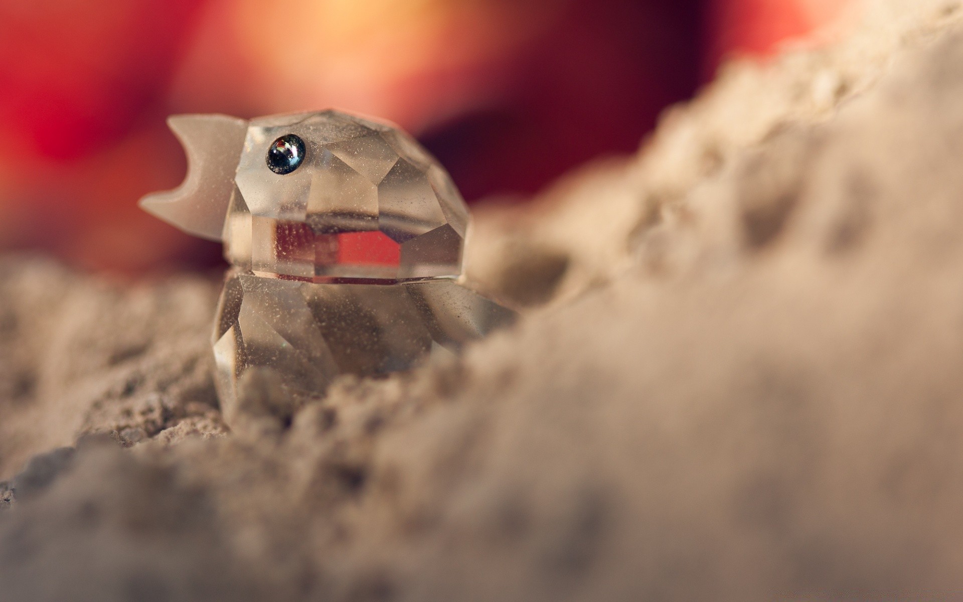 makroaufnahme strand unschärfe sand allein meer landschaft im freien tageslicht reisen aktion wasser wüste