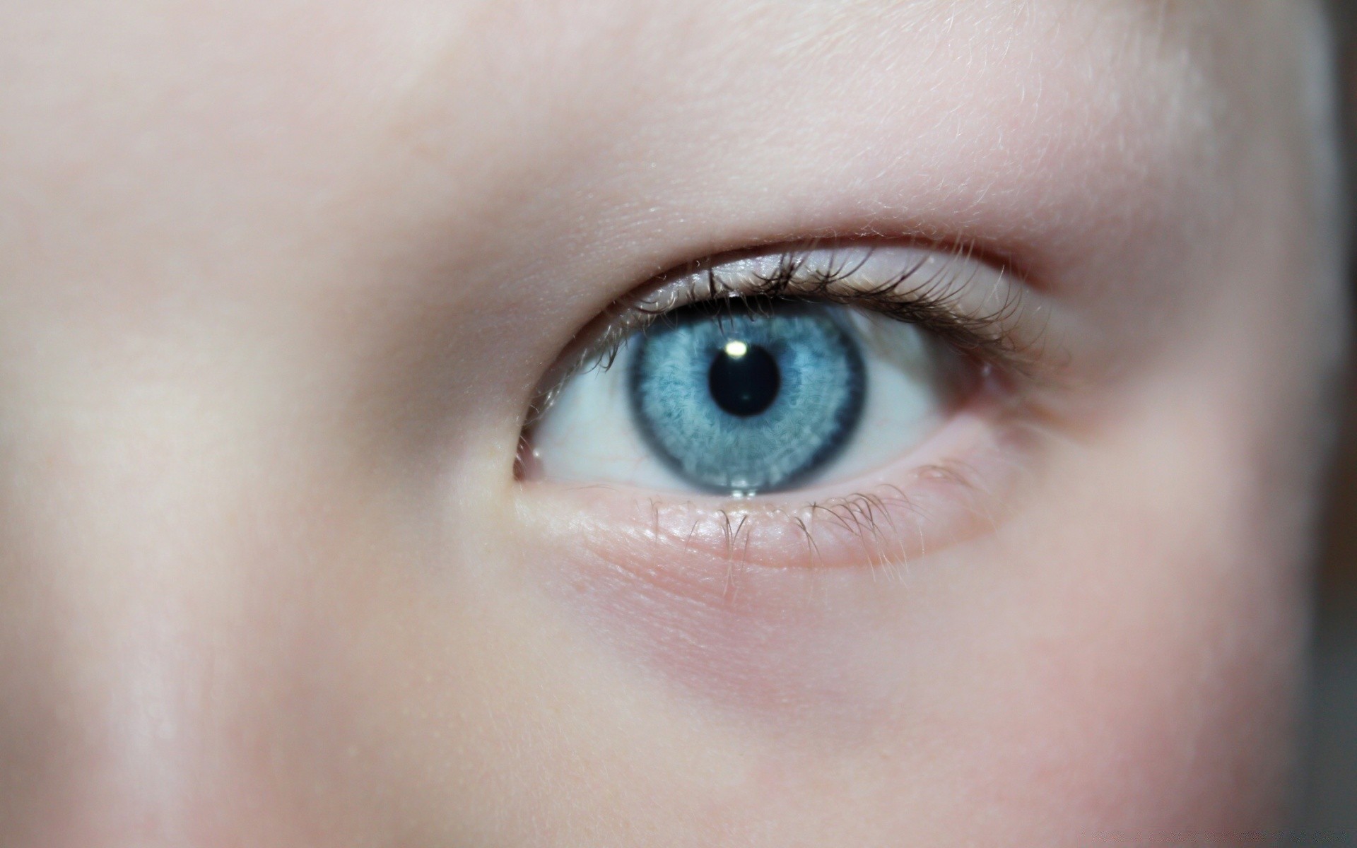 fotografía macro ojo mujer vista chica cara piel retrato globo ocular reloj joven solo moda