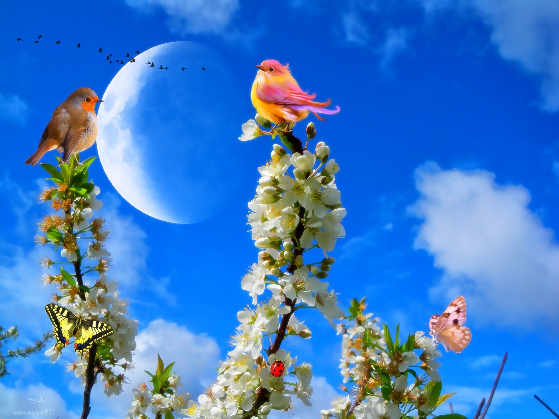 primavera naturaleza cielo árbol flor al aire libre verano hoja sol buen tiempo brillante