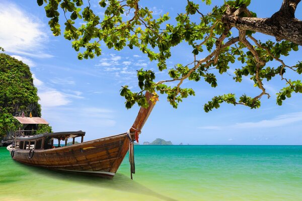 Tailandia. Barco atracado en la orilla cerca de un árbol