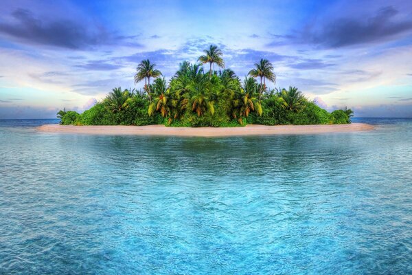 Île tropicale entourée d eau