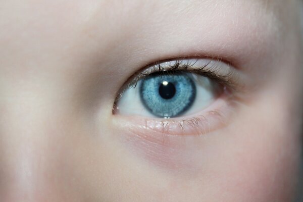 Macro photography girl eye vision