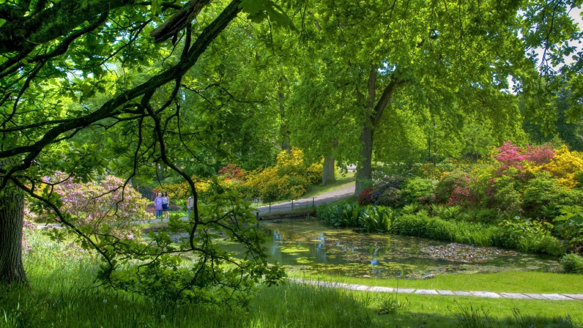 parklar ağaç park manzara yaprak doğa ahşap sezon ortamlar doğal manzaralar rehberlik sonbahar flora yemyeşil bahçe çimen sahne yaz güzel hava parlak