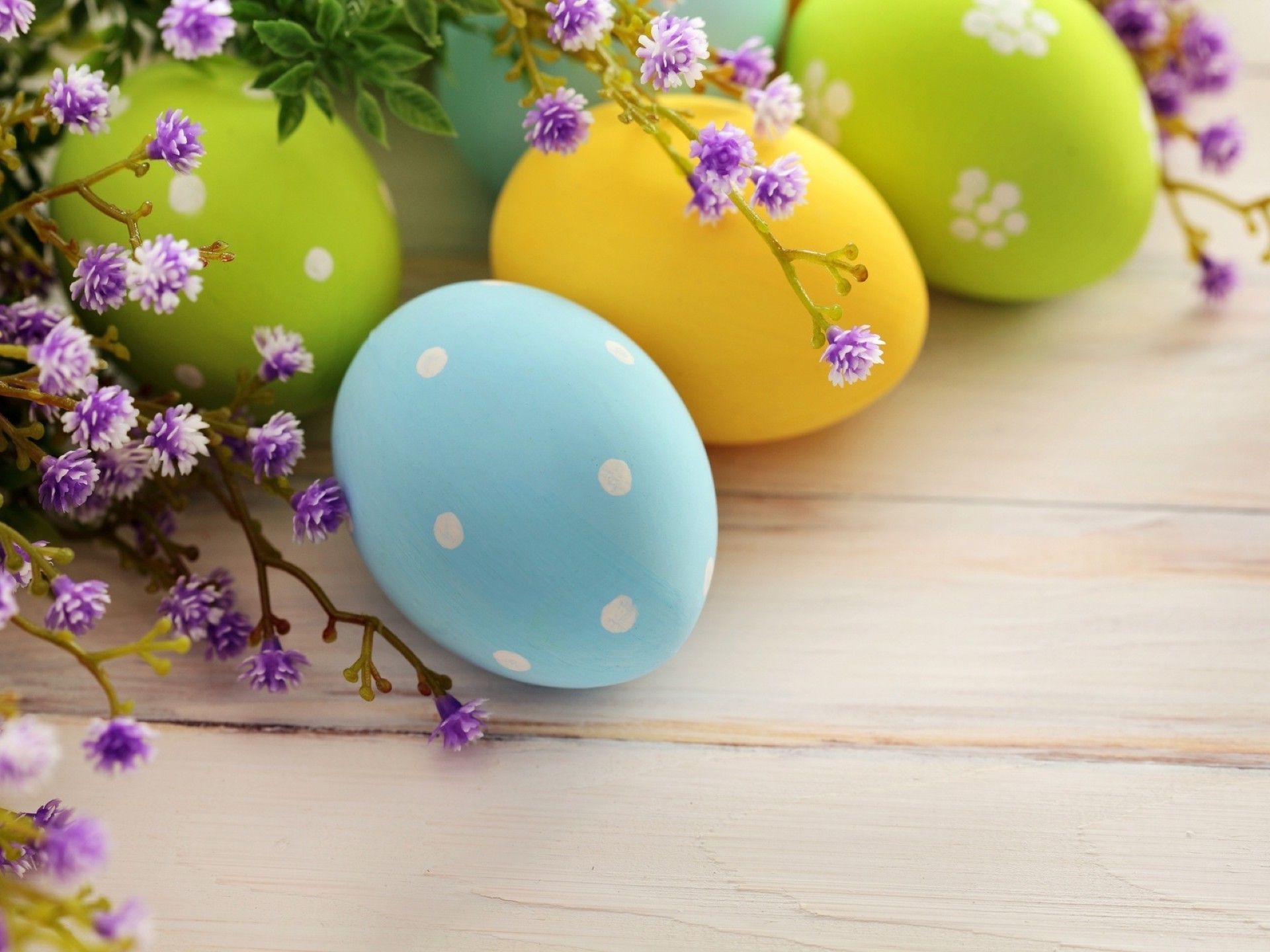 pasqua fiore decorazione uovo colore desktop vacanza legno tradizionale natura uovo di pasqua tavolo luminoso