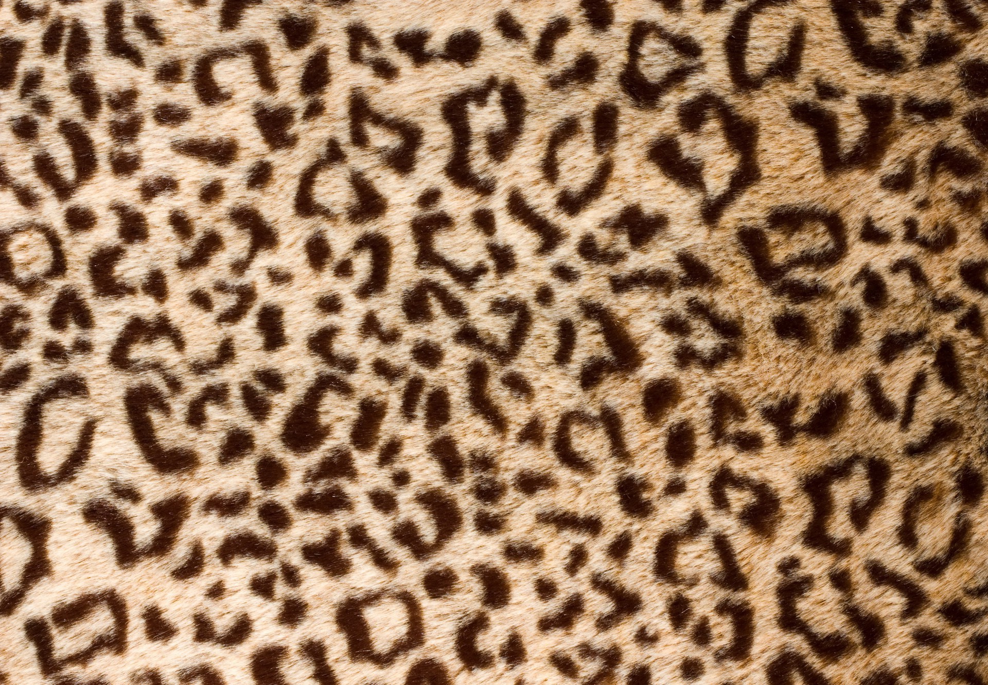 texture léopard guépard camouflage modèle fourrure papier peint résumé safari jungle sans soudure conception textile zoo tissu chat impression girafe art fond