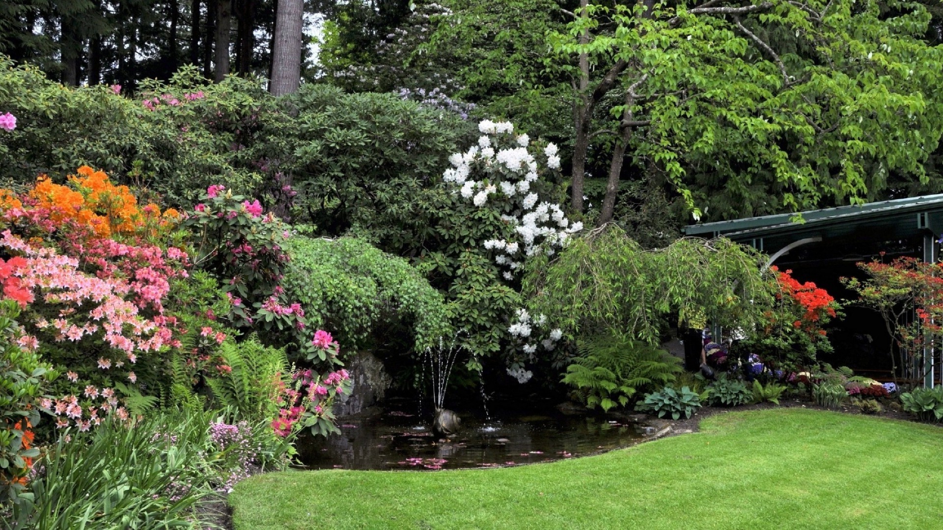 gardens flower garden tree park flora landscape leaf nature shrub summer lawn outdoors botanical rhododendron grass lush wood yard