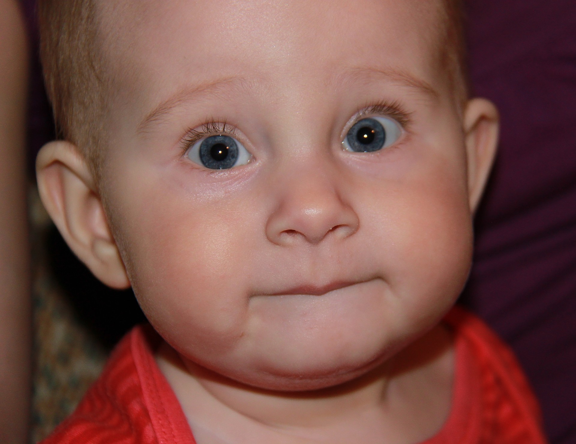 angelitos bebé niño pequeño lindo niño inocencia niño retrato niña pequeño solo placer ojo recién nacido precioso confitería cara descendencia curiosidad