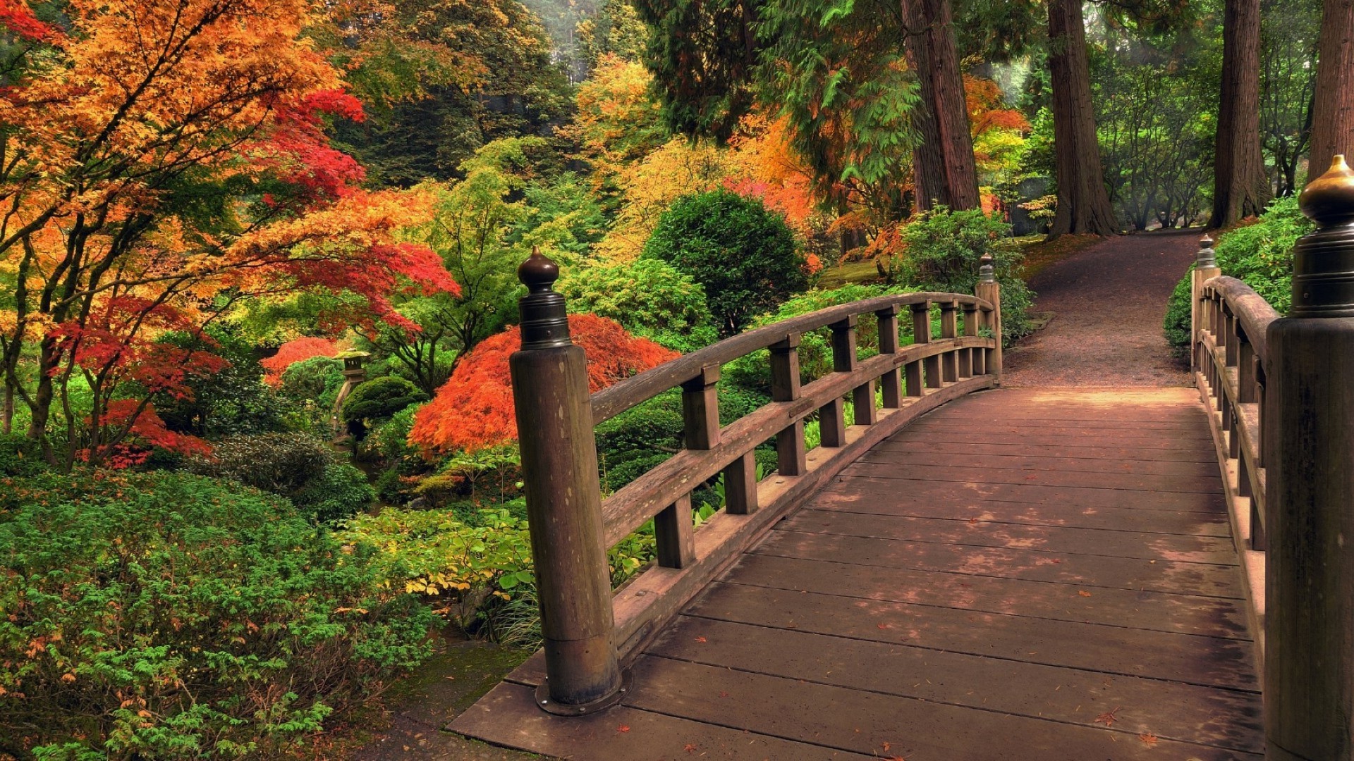 parks holz holz blatt park garten landschaft im freien herbst natur weg guide landschaftlich reisen üppig