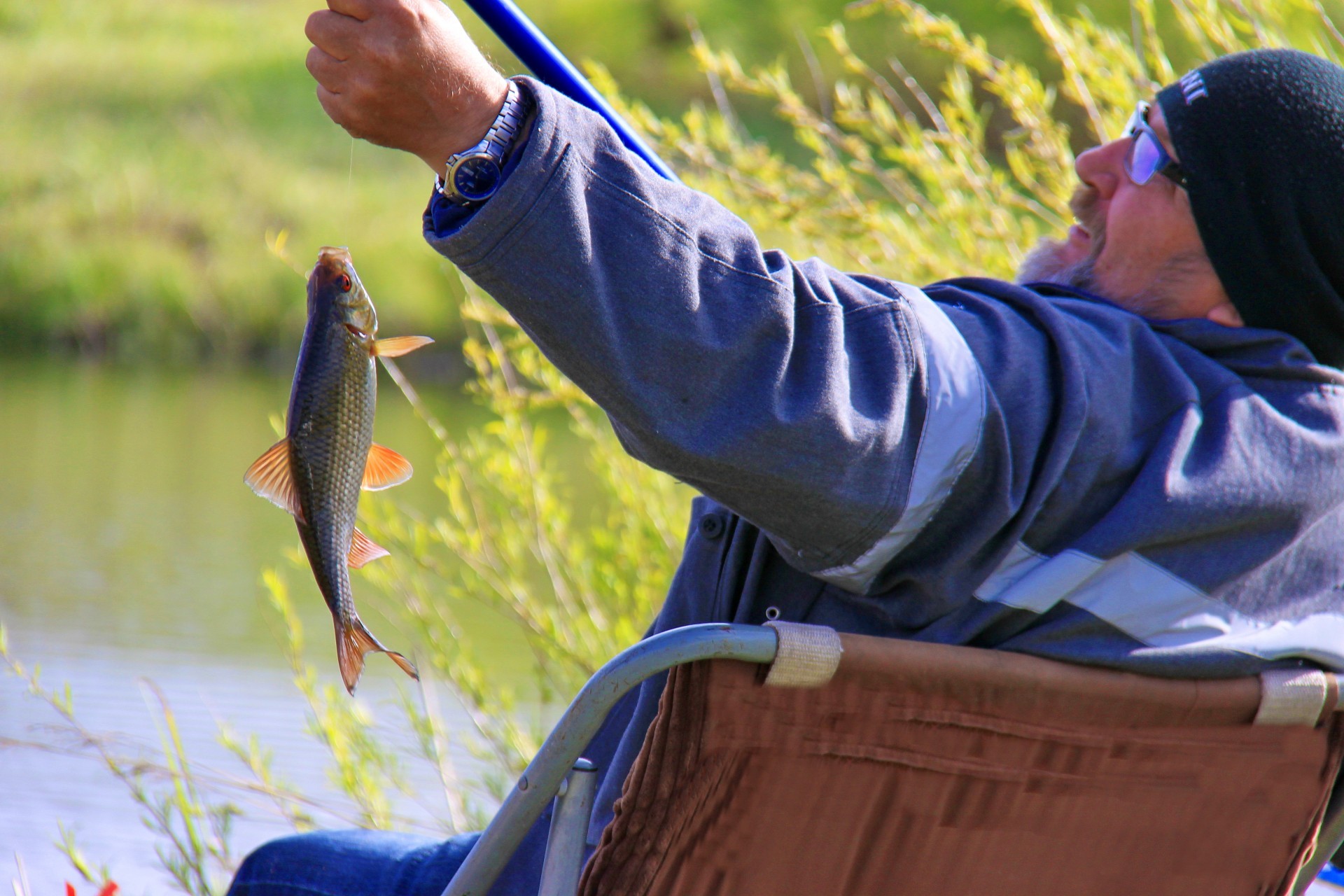 flussfische im freien freizeit mann freizeit natur erwachsener ein gras sommer wasser frau fische