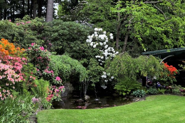 Jardín de flores y árboles