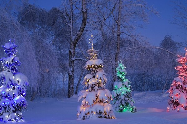 Atmospheric New Year Christmas trees in the snow