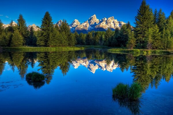 Forest,lake,mountains