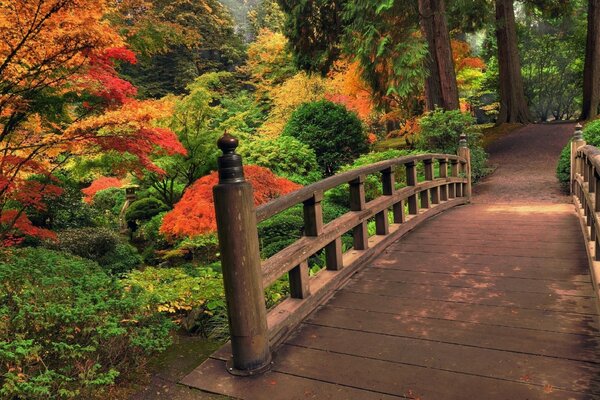 A warm autumn day in the park