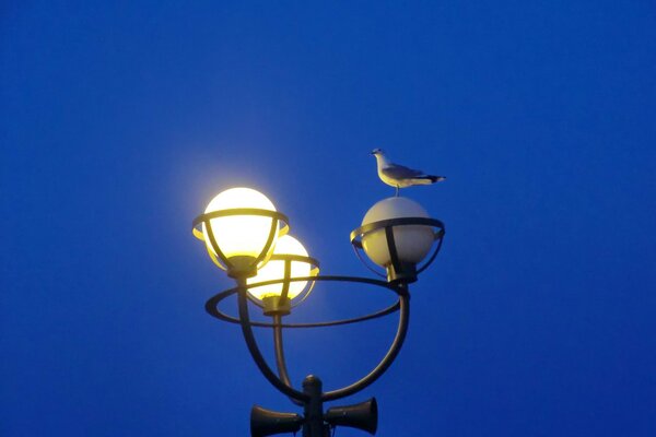 High lantern at night