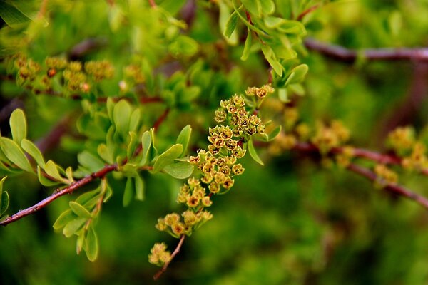 The gorgeous nature of green