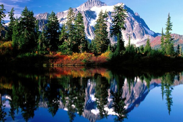 Snow-covered mountain, lake in the middle of the forest