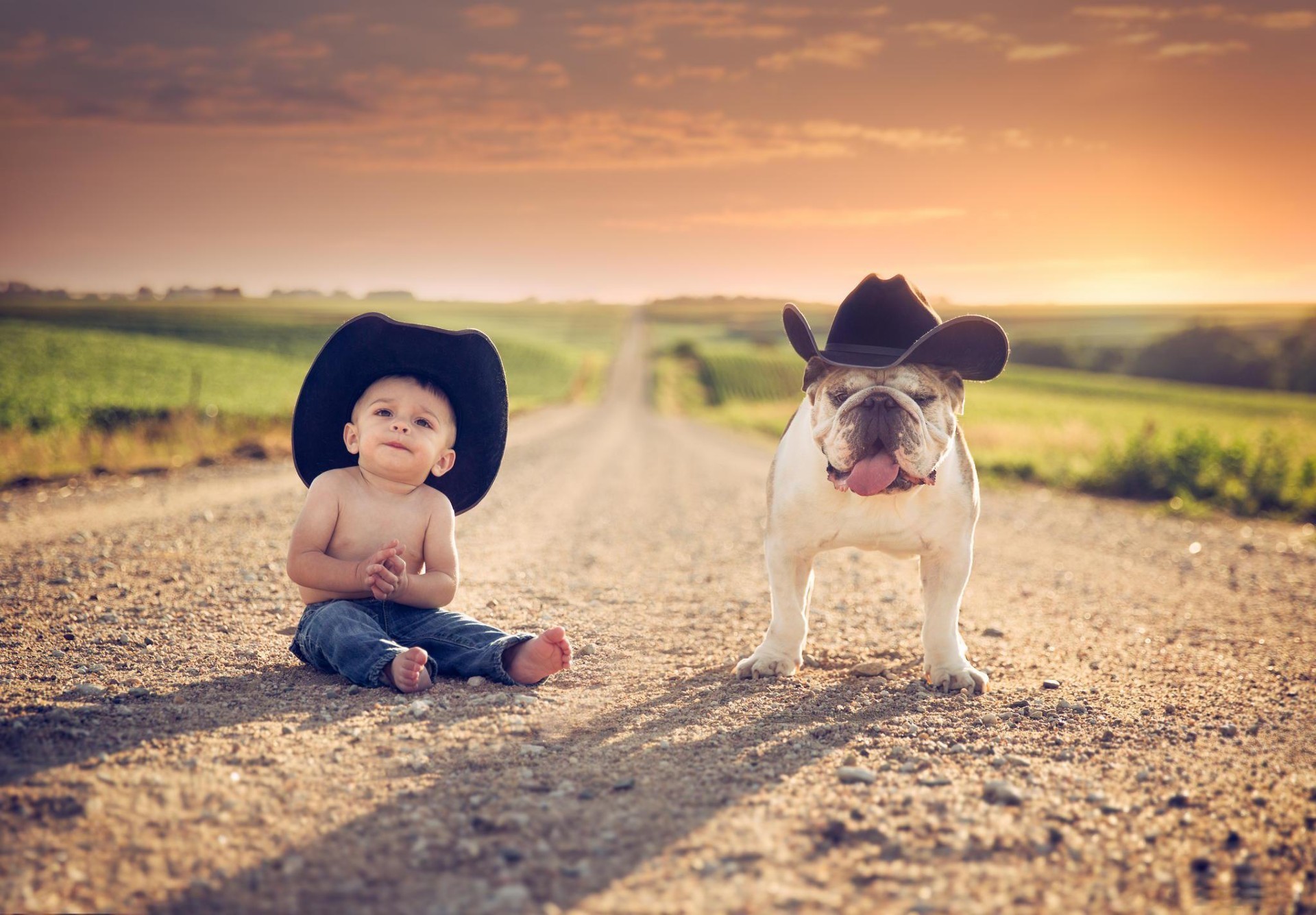 kinder mit tieren mädchen kind kind wenig feld hund gras niedlich lächeln porträt natur glück sommer vergnügen liebe im freien