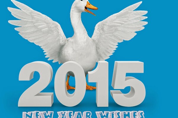 The goose spread its wings. Inscription happy New year 2015