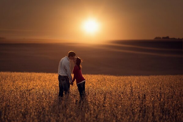 A couple in love kissing in the middle of a wide golden field