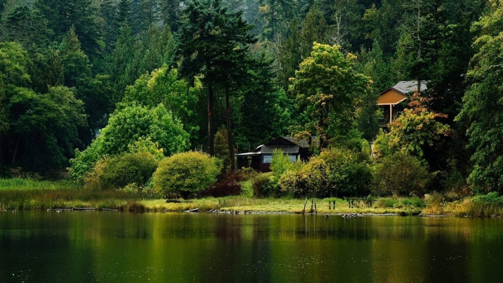 wald holz wasser holz see fluss natur sommer landschaft im freien landschaftlich schwimmbad reisen park reflexion tageslicht