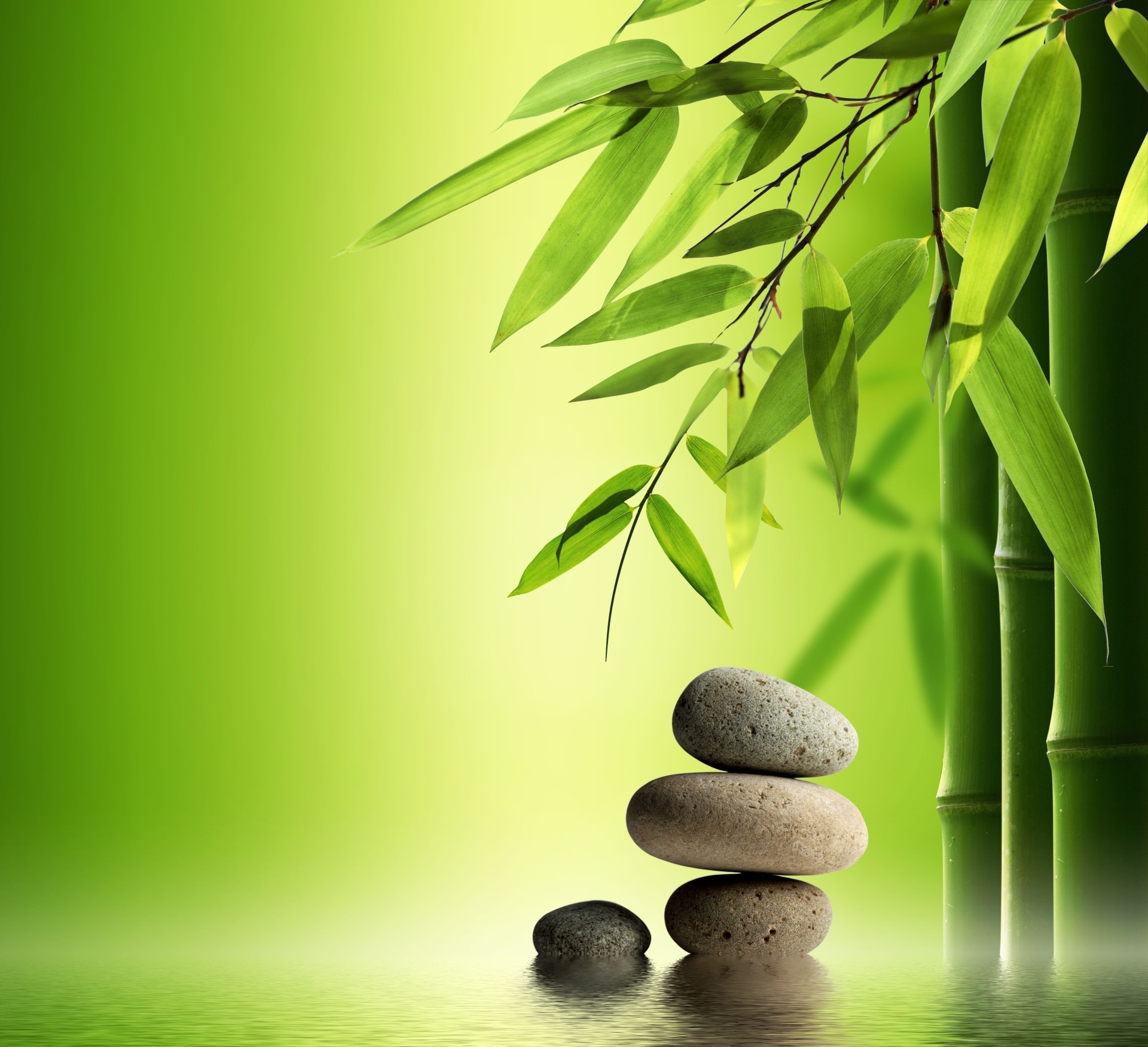 blätter zen balance harmonie stabilität blatt bambus meditation natur flora alternative therapie behandlung frieden minimalismus einfachheit wachstum kopfsteinpflaster baum garten desktop