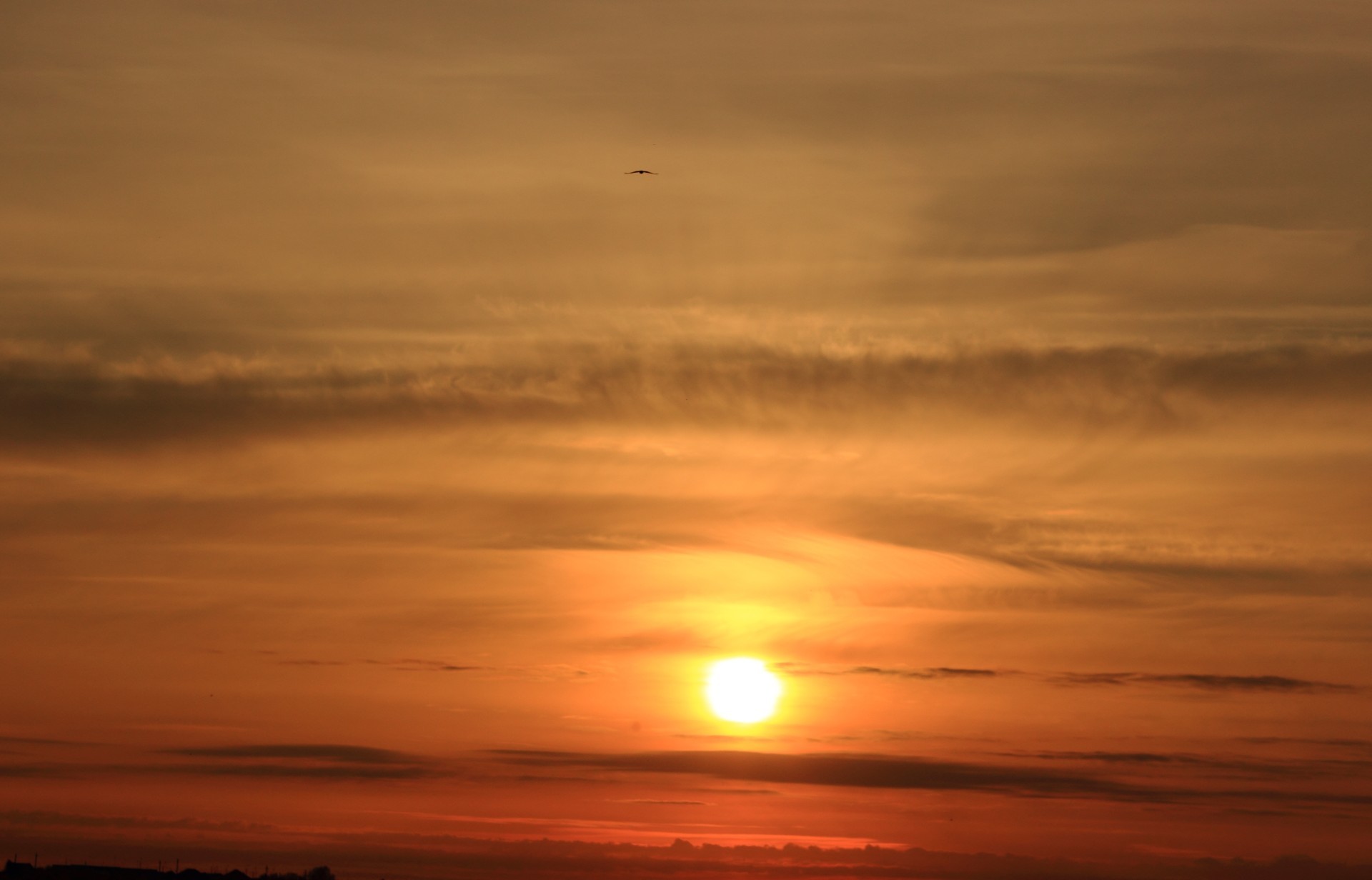 sonnenuntergang und dämmerung sonnenuntergang sonne dämmerung himmel dämmerung abend gutes wetter natur im freien licht wasser landschaft sommer dramatisch hell himmel