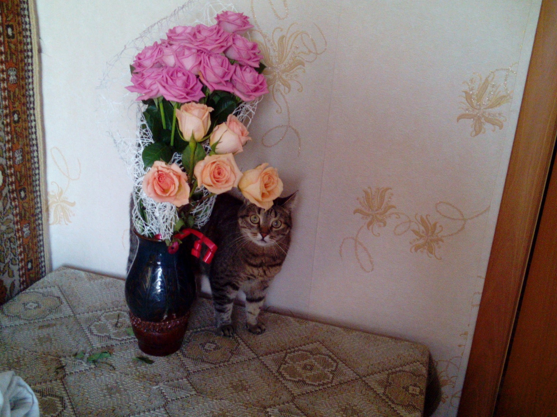 cats flower decoration indoors interior design room