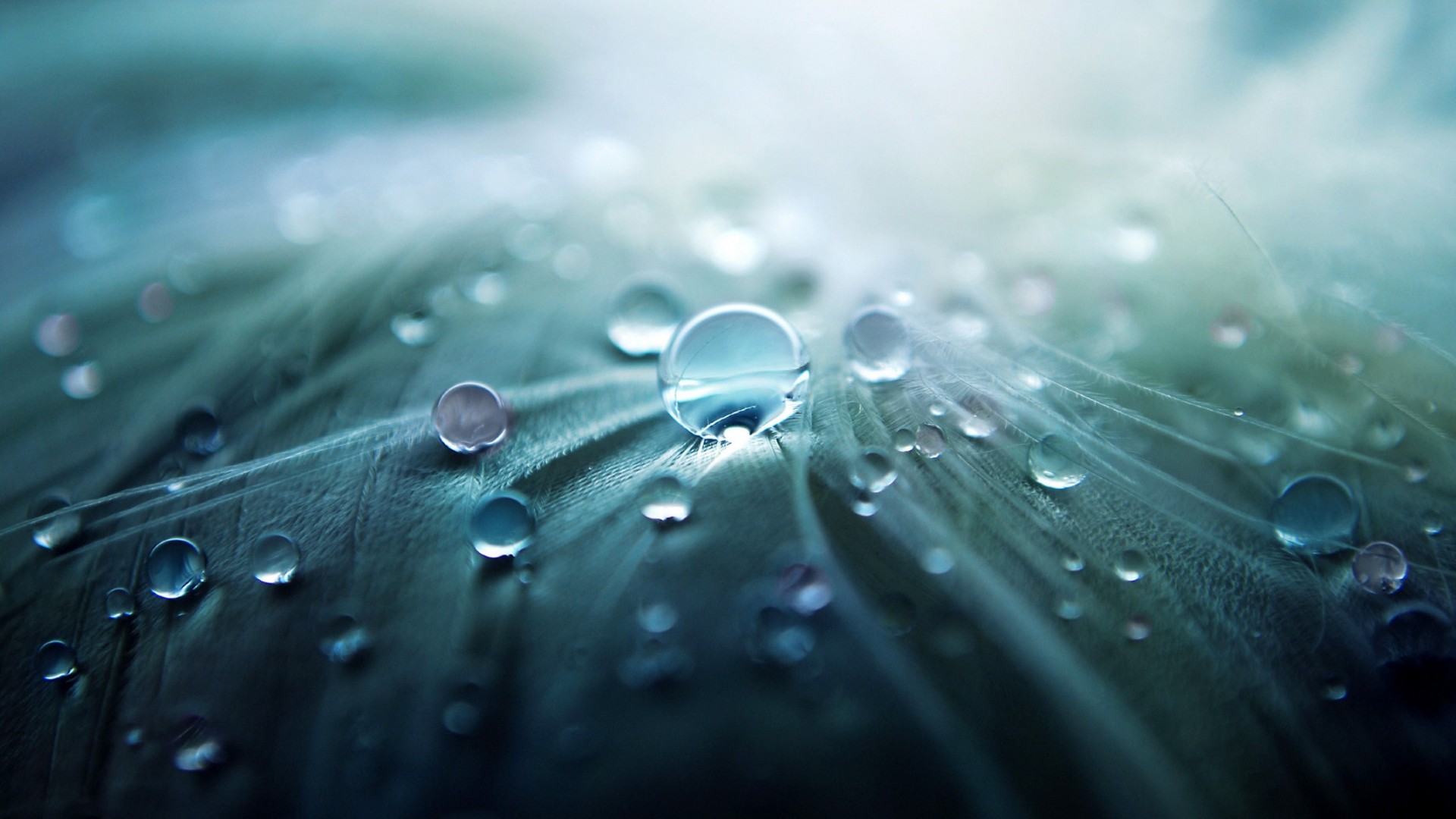 gotículas e água gota chuva gotas orvalho molhado água limpo reflexão claro respingo turquesa bolha líquido gotejamento limpeza vertedouro brilha lavar luz