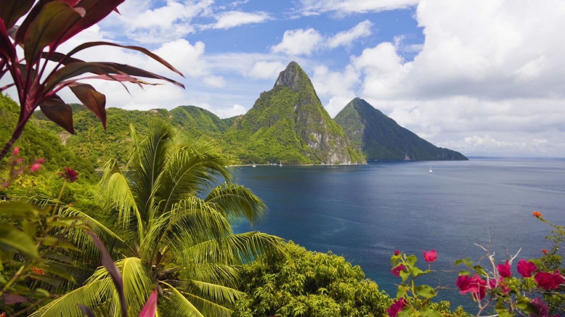 insel reisen wasser meer tropisch strand insel natur im freien himmel baum landschaft sommer ozean meer exotisch bucht