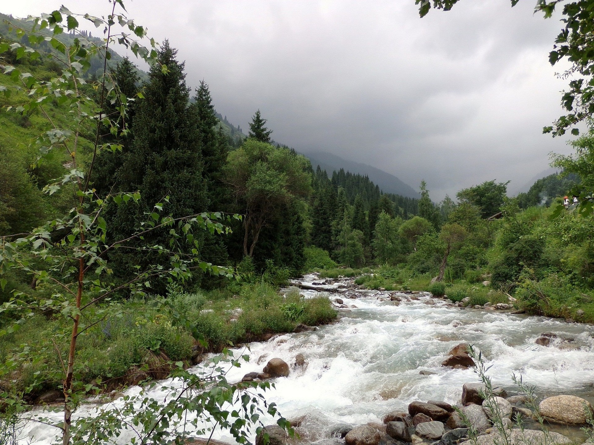 extensões nativas água natureza paisagem rio viagens cachoeira córrego ao ar livre rocha madeira montanha verão árvore ambiente pedra cênica parque selvagem folha