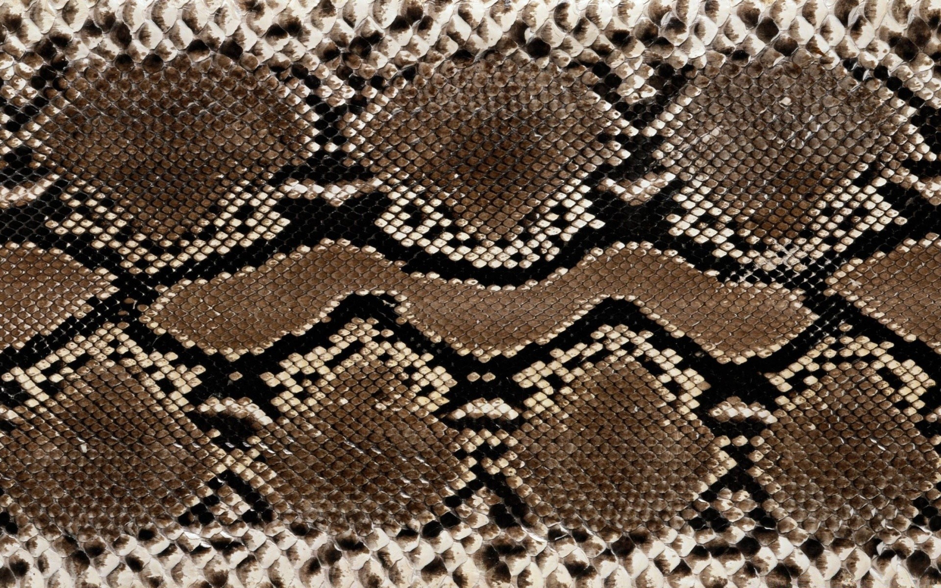 reptiles y ranas escritorio patrón textura textil tela abstracto diseño serpiente primer plano lienzo algodón arte hilo