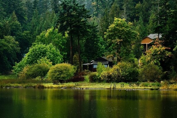 A huge lake in the depths of a dense forest