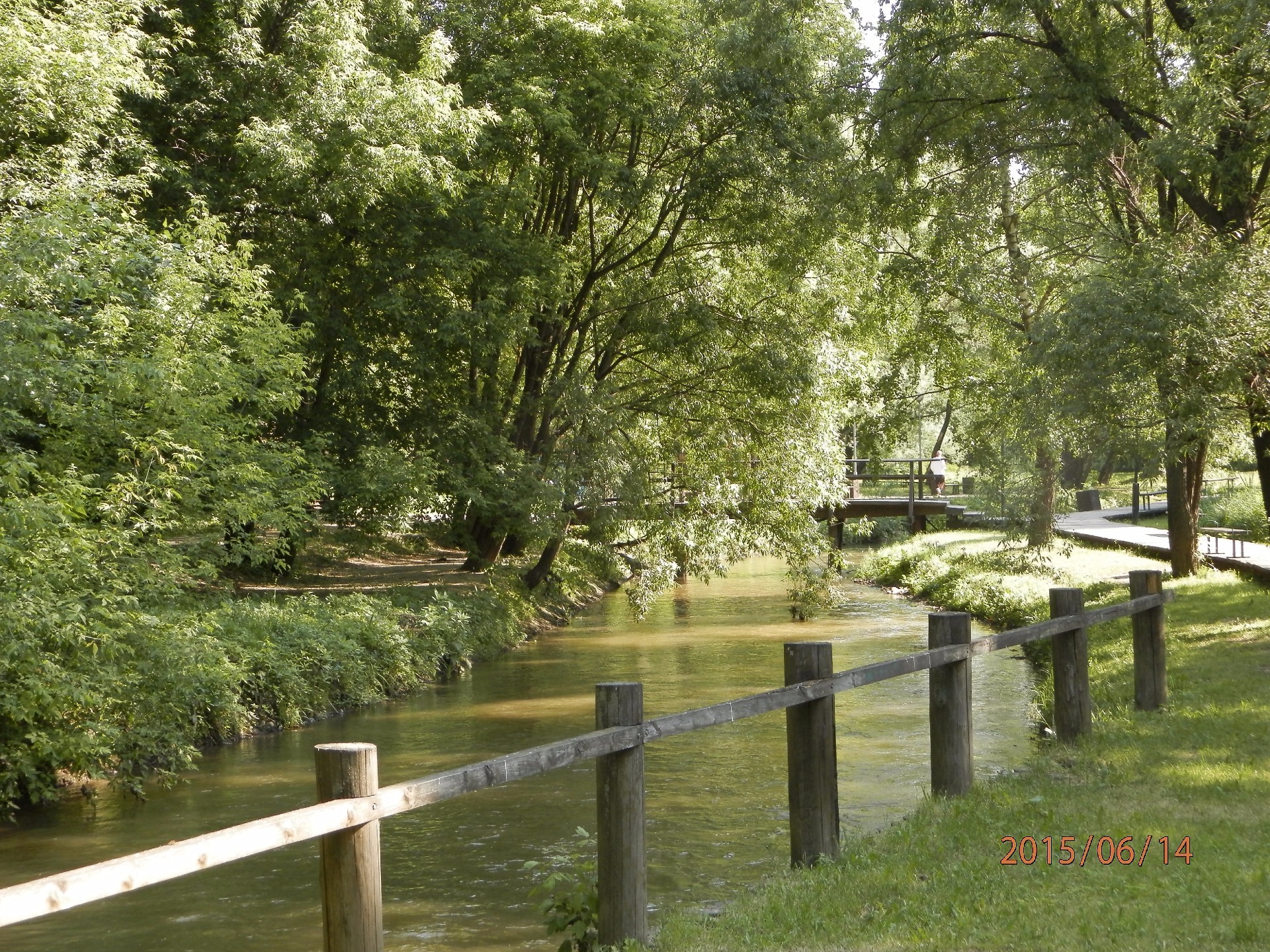 冬天 自然 树 木头 夏天 公园 草 叶子 景观 室外 花园 水 指南 植物群 农村 旅行 长凳