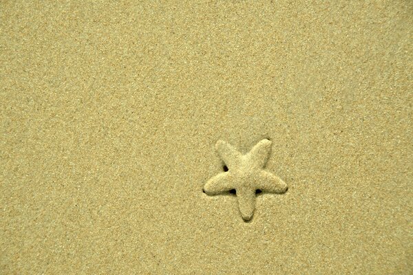 Color photo of a starfish on the sand