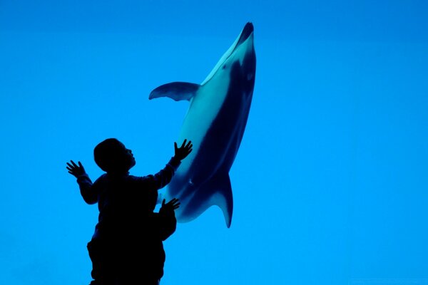 Children and a dolphin. Oceanarium