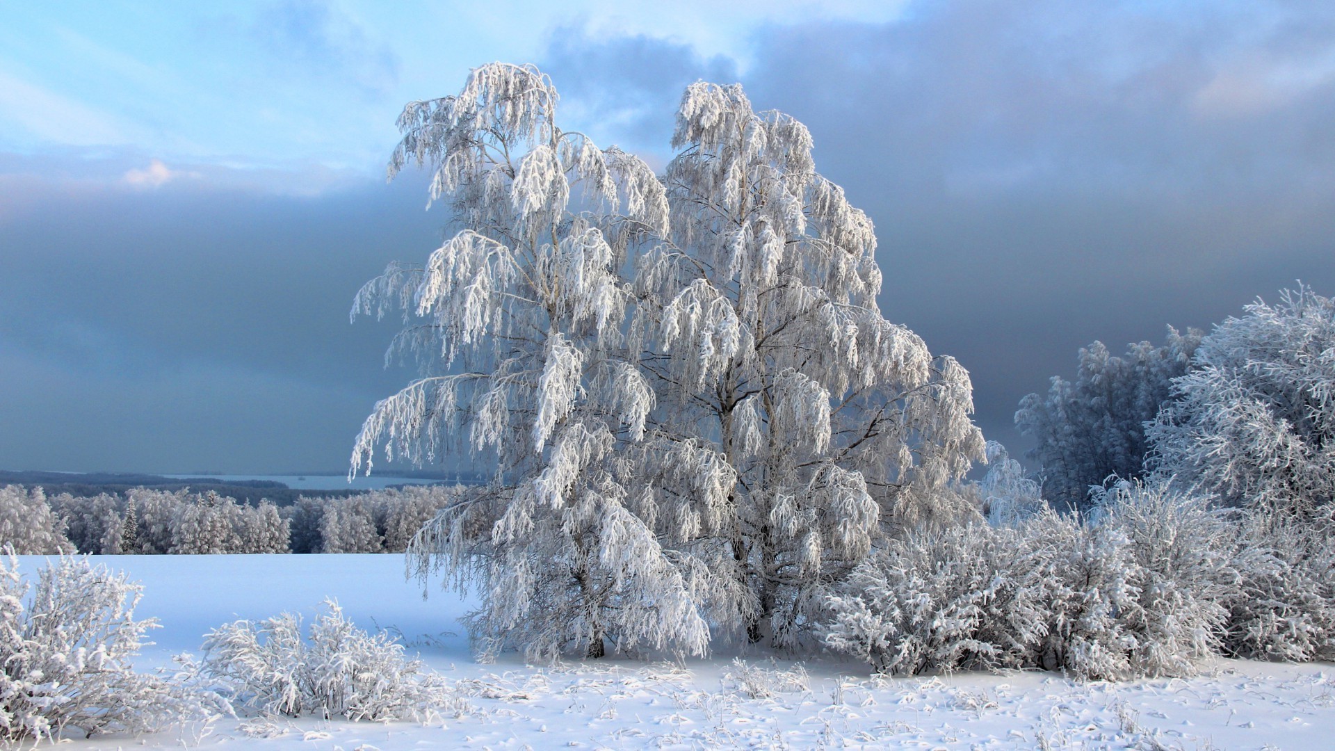 winter schnee frost eis kälte gefroren landschaft natur holz frostig holz wetter saison landschaftlich gutes wetter szene himmel im freien