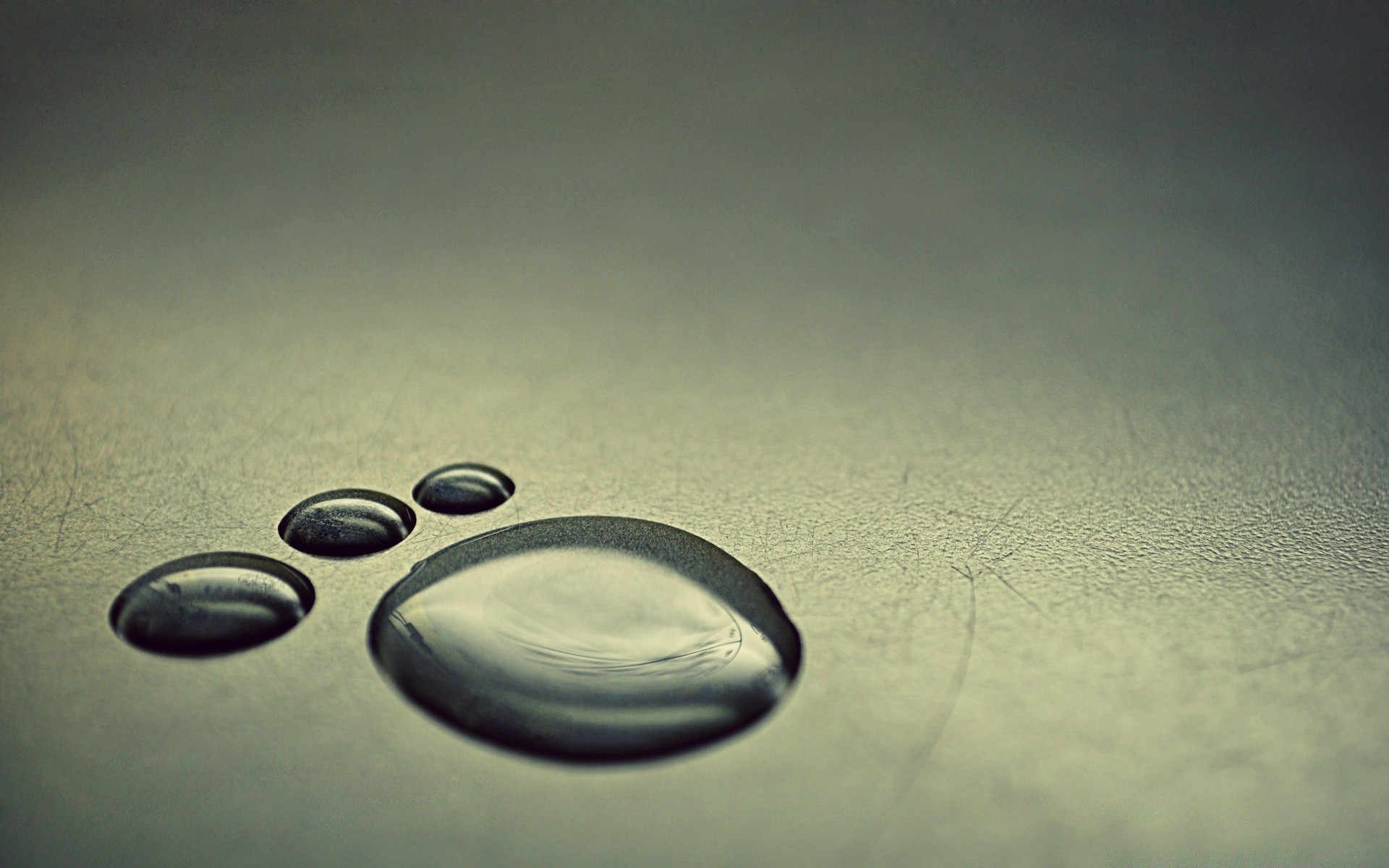 macro área de trabalho chuva reflexão zen resumo gota gotas cinza água sombra textura luz redondo equilíbrio close-up