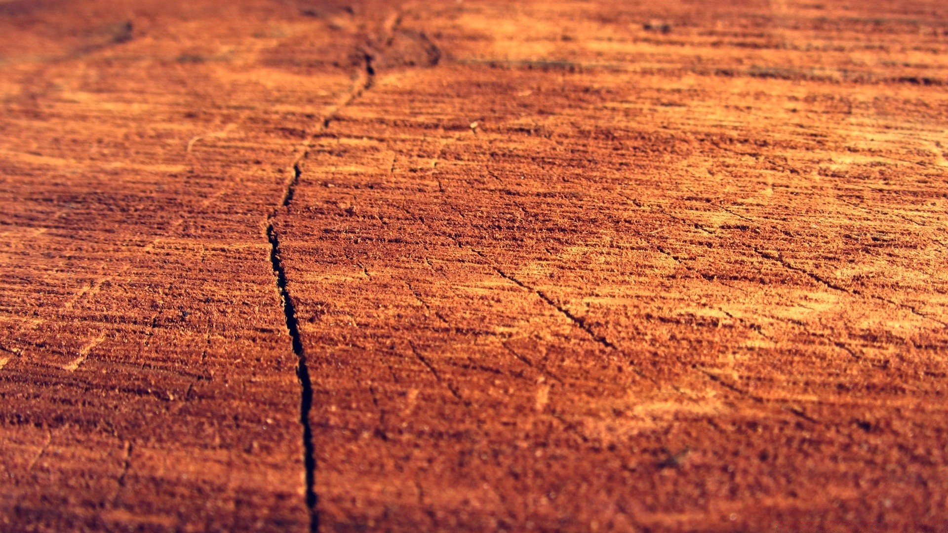 macro desktop texture pattern abstract fabric design old rough wood background wall dirty log dark nature wallpaper retro empty wooden