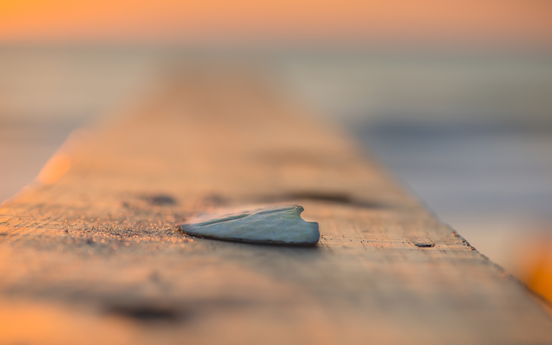 macro beach sunset sand water seashore dawn sun blur sea landscape fair weather travel ocean daylight evening outdoors sky seascape