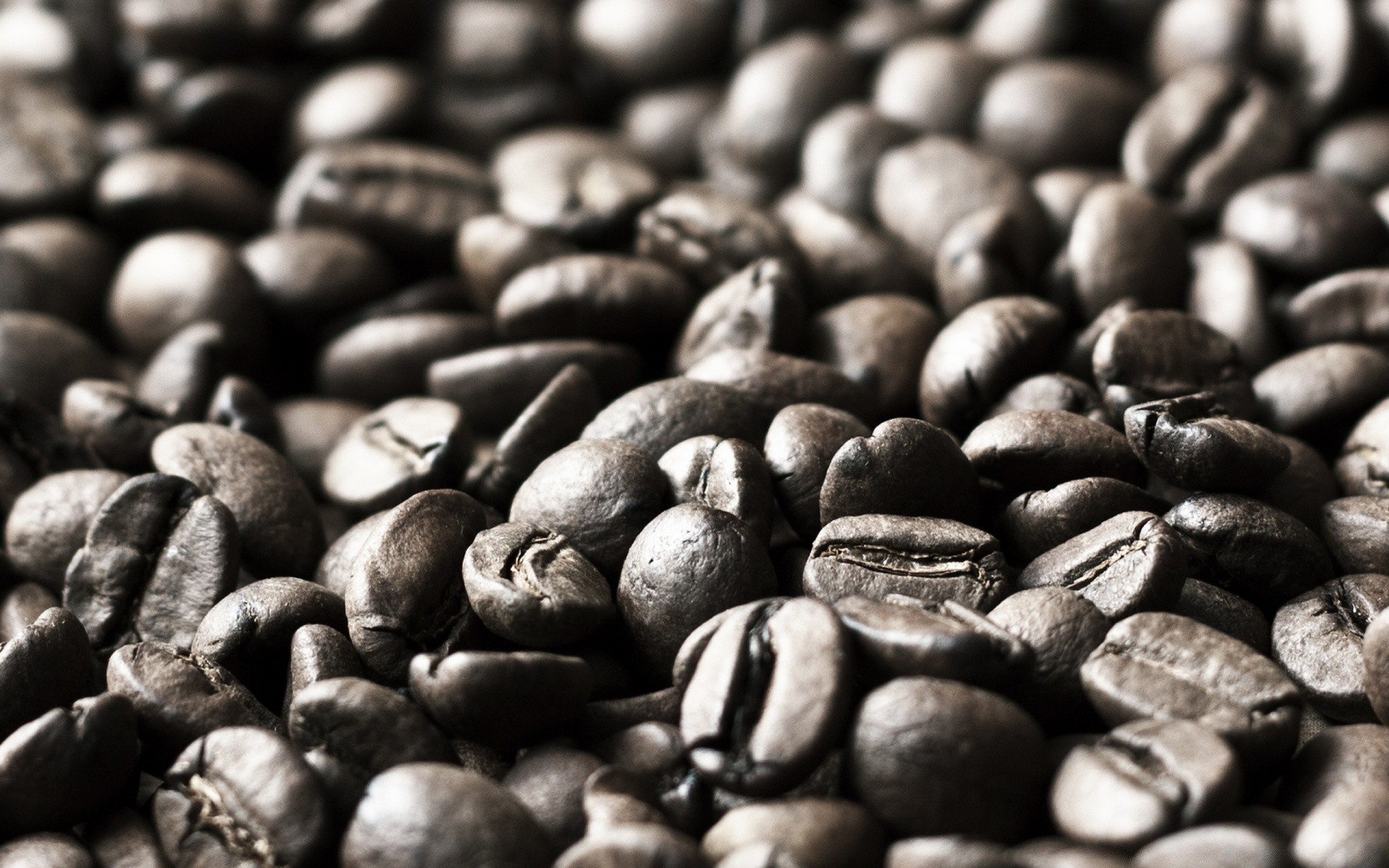 macro bean food coffee seed batch close-up caffeine cereal desktop drink texture dark many perfume espresso crop pile epicure dry