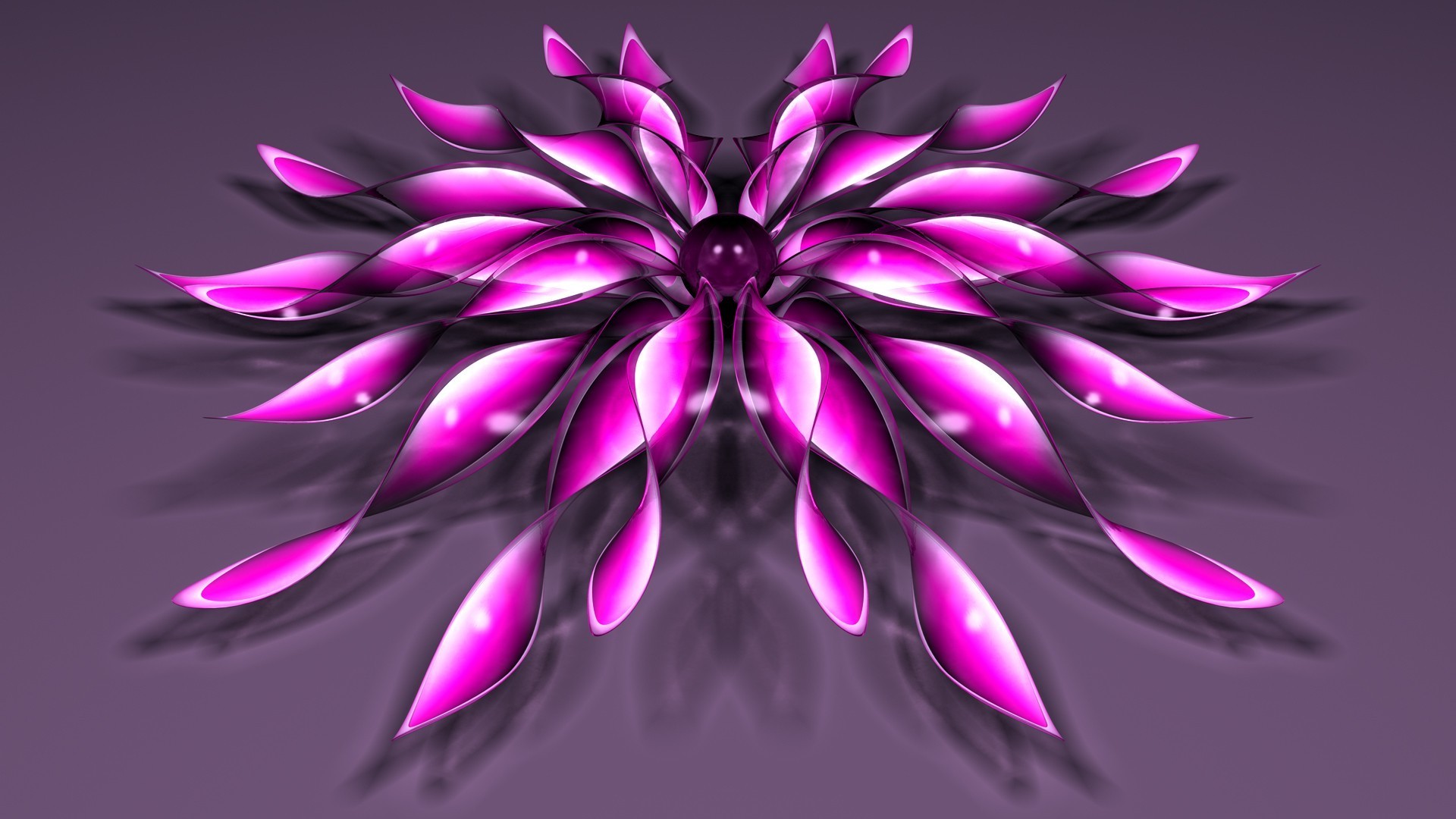 astrazione decorazione colore natura desktop fiore design bella modello luminoso floreale illustrazione arte flora