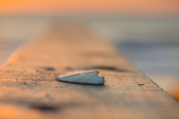 Una astilla descansa sobre una tabla en los rayos del atardecer