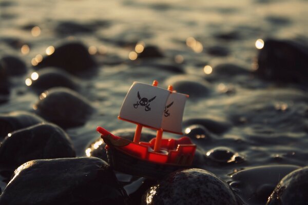 Strand, Meer, Ozean. Makrofotografie